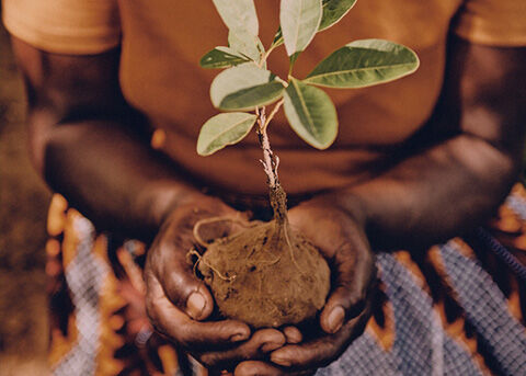 Respecting Biodiversity