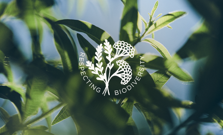 Traceable Ingredients