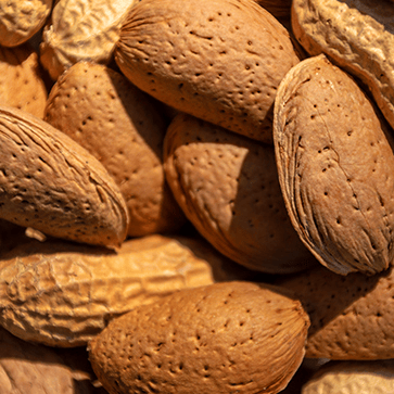 Crushed Almond Shell