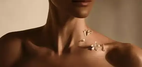 Fragrances are designed to have 3 sets of notes which unfold over time to create each fragrance&rsquo;s individual scent