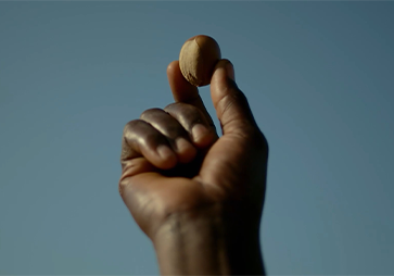 THE STORY BEHIND OUR SHEA BUTTER HAND CREAM