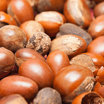 Organic Shea Butter