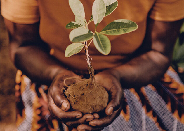 Respecting Biodiversity