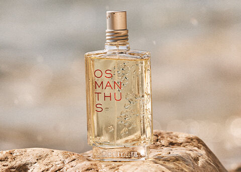 Fruity Osmanthus