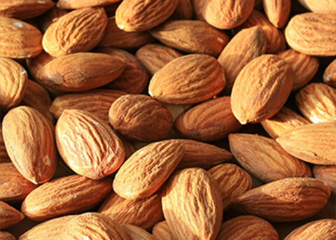 Our Almond Ingredient