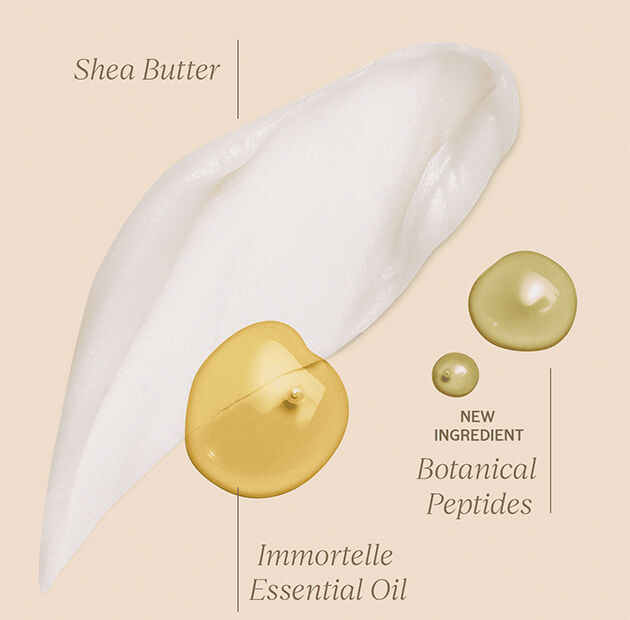 Star Ingredients
