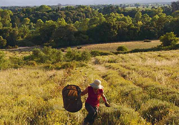 Sustainable Sourcing