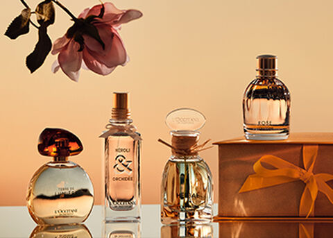 Find Your Signature Scent