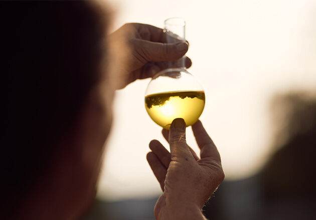 What's In Our Formulas