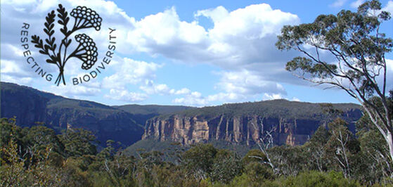 Bushfire Recovery Partnership
