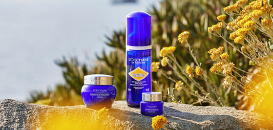 IMMORTELLE PRECIOUS