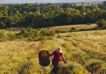 Sustainable Sourcing