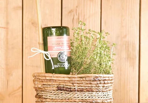 SHAMPOO BOTTLE TO WATER YOUR PLANTS