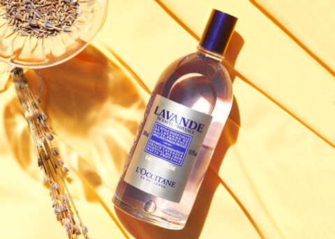 Aromatic Lavender