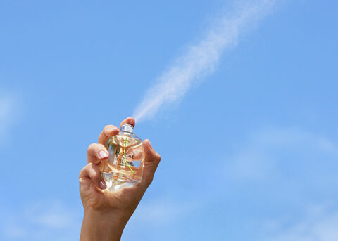 Understanding Fragrances