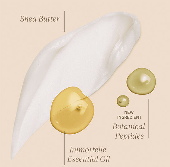 Star Ingredients