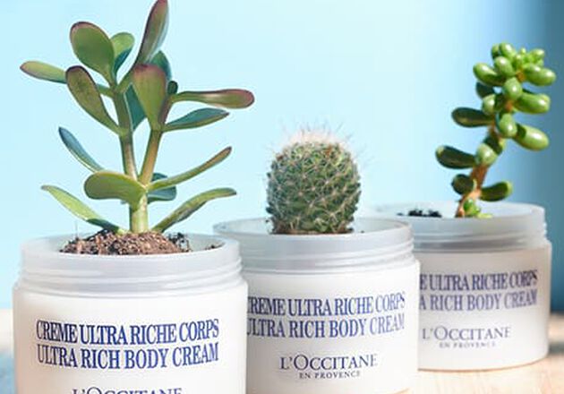 BODY CREAM POTS TO CACTUS HOLDERS
