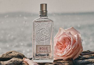 Romantic Rose
