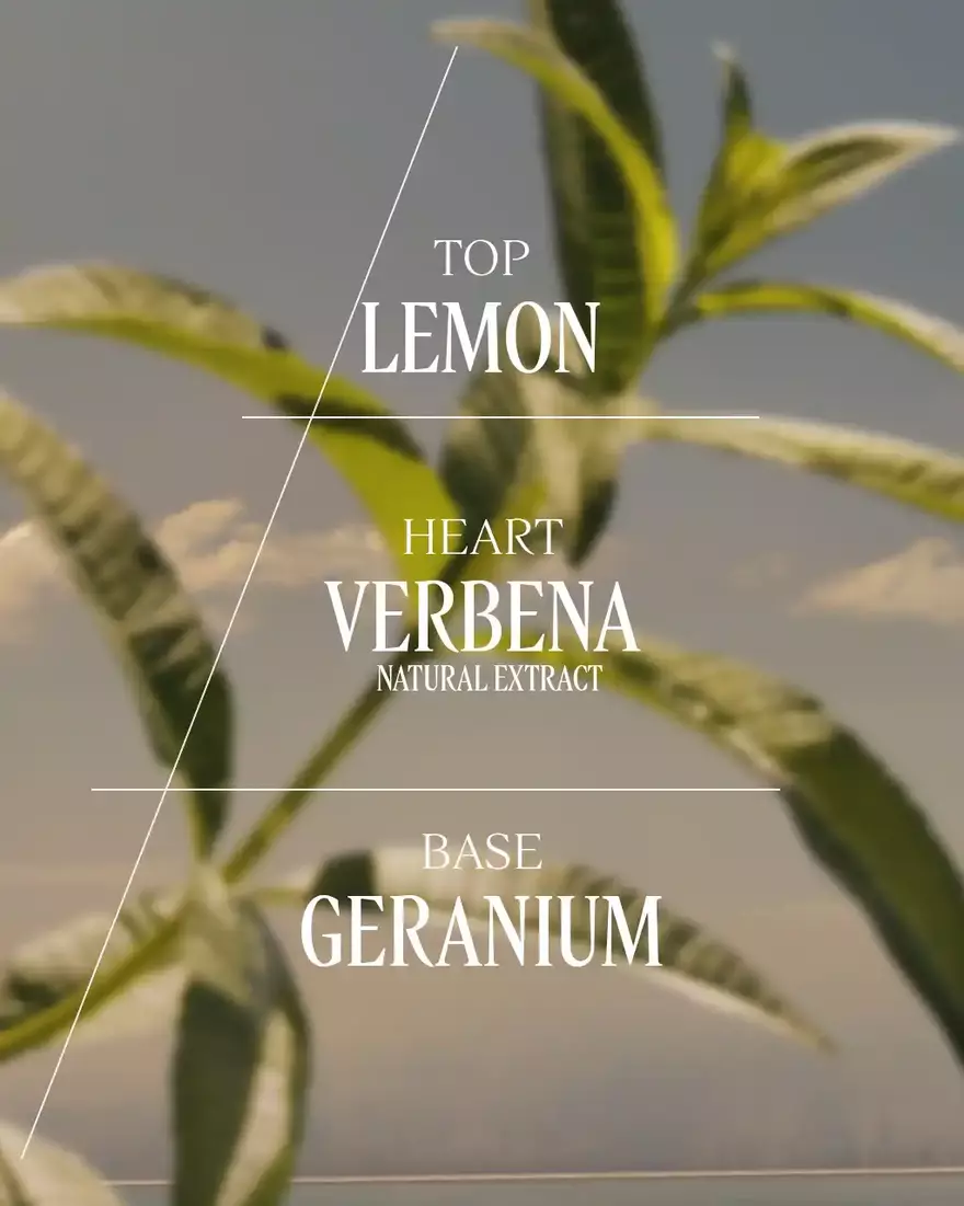 view 5/8 of Verbena Eau de Toilette, , AURECT