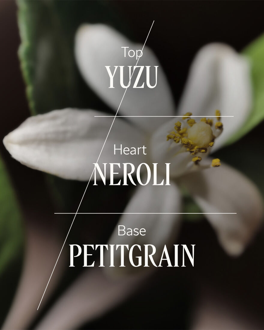 view 3/5 of N&eacute;roli Yuzu Home Diffuser Set, , AURECT