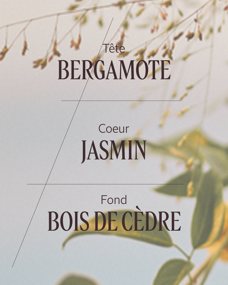 view 2/5 of Jasmin & Bergamote Eau De Toilette, , AURECT