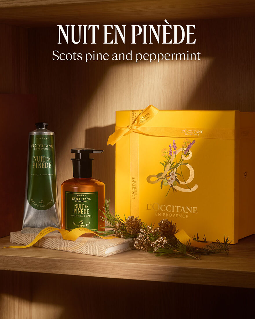 view 4/5 of Nuit en Pin&egrave;de Foaming Hand Wash, , AURECT