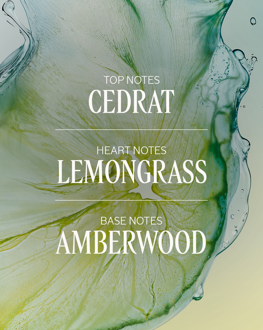C&eacute;drat Eau de Toilette, AURECT (2) 50 ml | L&rsquo;Occitane en Provence