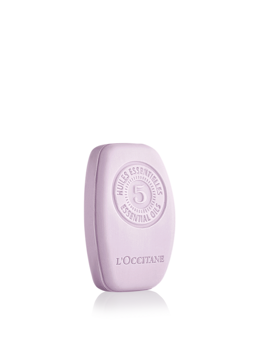 Gentle & Balance Solid Shampoo, AURECT (2) 60 g | L&rsquo;Occitane en Provence