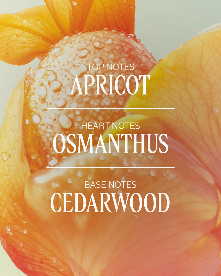 view 2/4 of Osmanthus Abricot Eau de Toilette, , AURECT