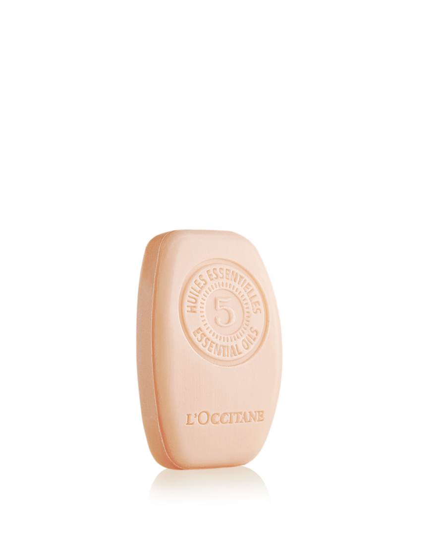 Intense Repair Solid Shampoo, AURECT (2) 60 g | L&rsquo;Occitane en Provence