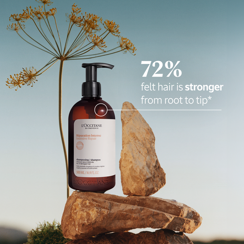 Intensive Repair Shampoo 500ml | L'Occitane NZ