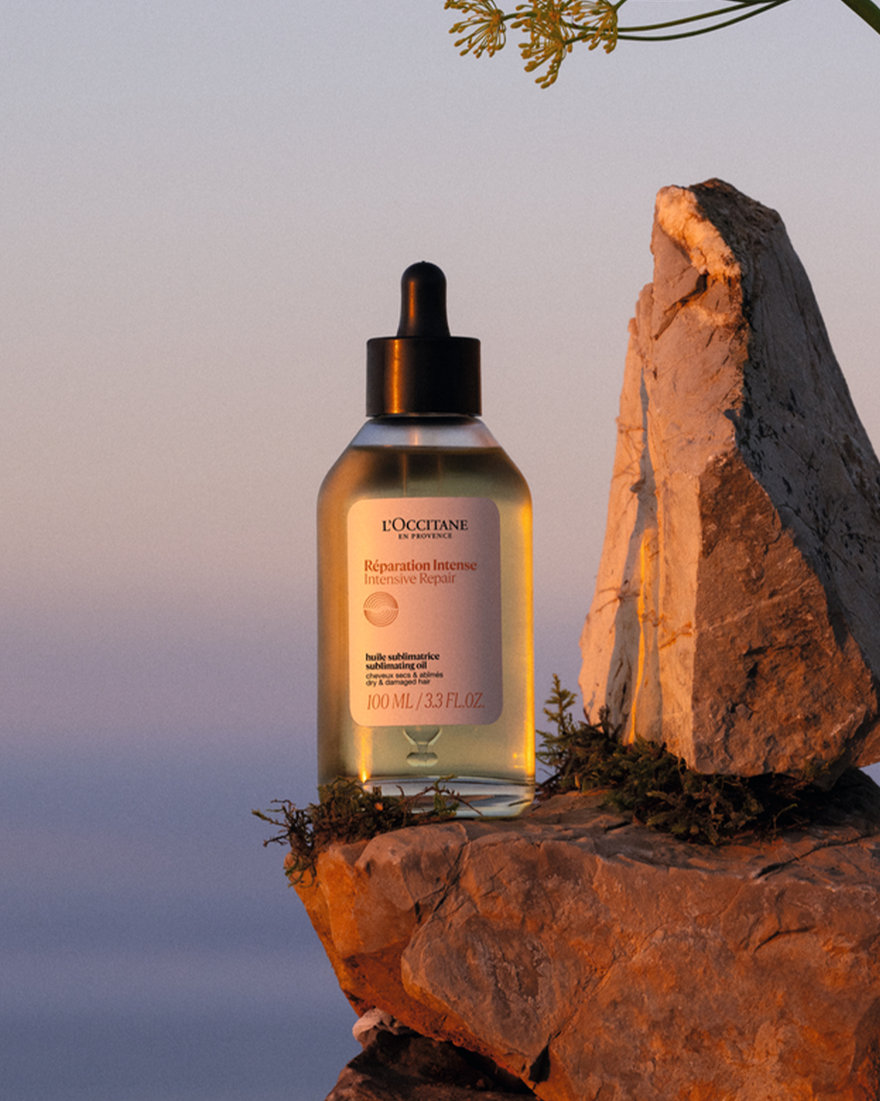 Intensive Repair Sublimating Oil | L'Occitane NZ