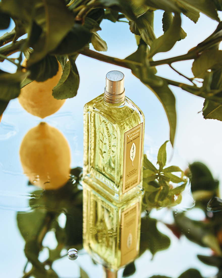 view 3/6 of Citrus Verbena Eau de Toilette, , AURECT