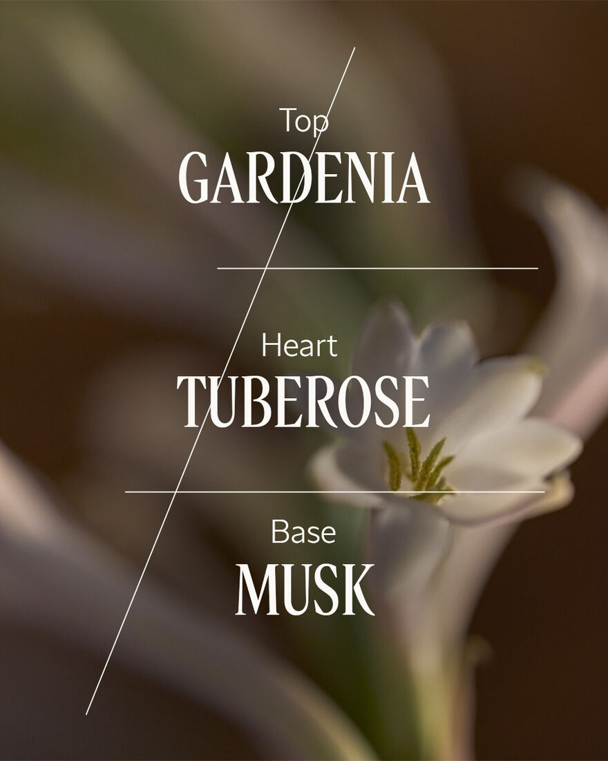 Tub&eacute;reuse Gard&eacute;nia Home Diffuser Set, AURECT (2) | L&rsquo;Occitane en Provence