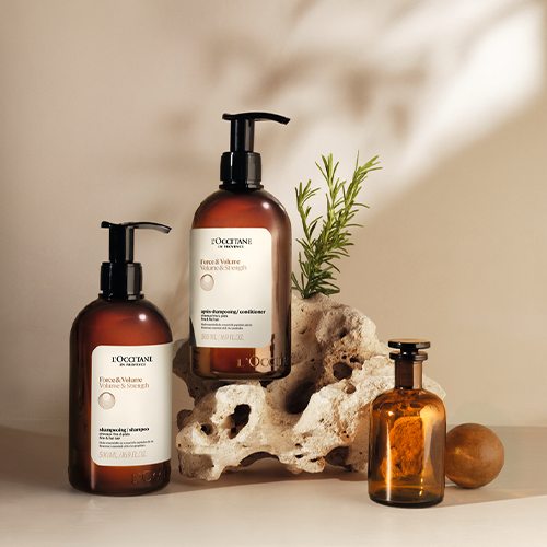 Volume & Strength Shampoo | L'Occitane NZ
