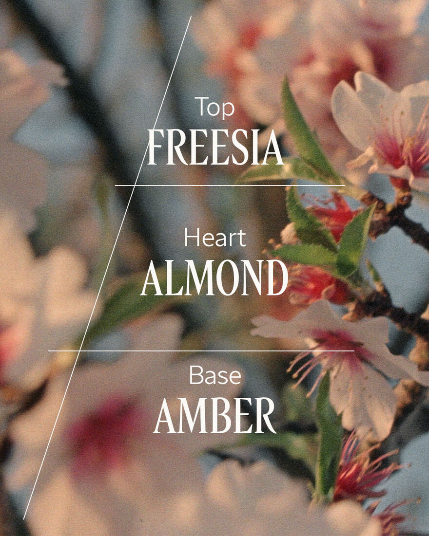 view 2/6 of Shimmering Almond Kissed Duo, , AURECT