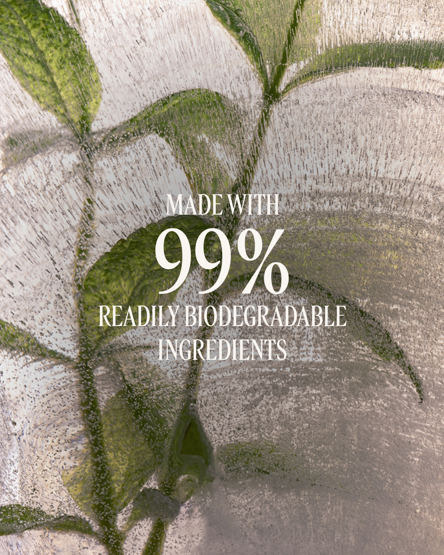 Verbena Body Lotion, AURECT (2) 250 ml | L&rsquo;Occitane en Provence