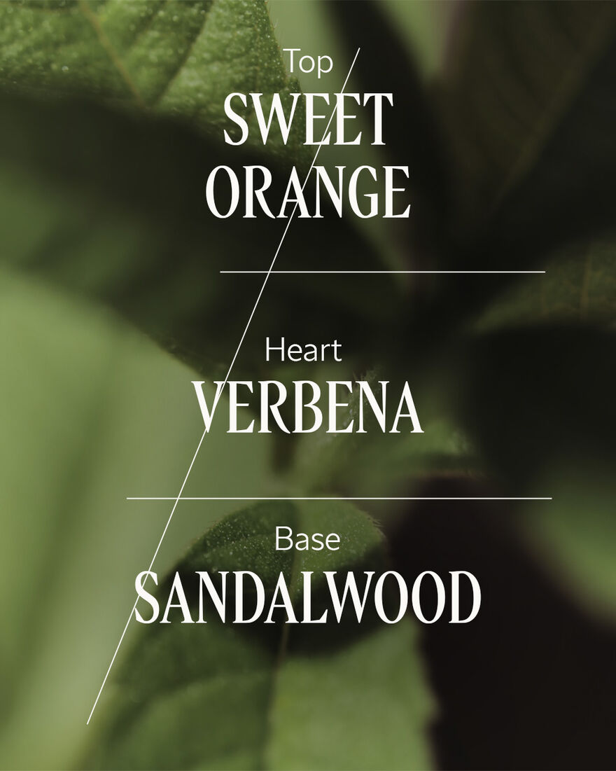 Verveine Santal Home Diffuser Set, AURECT (2) | L&rsquo;Occitane en Provence