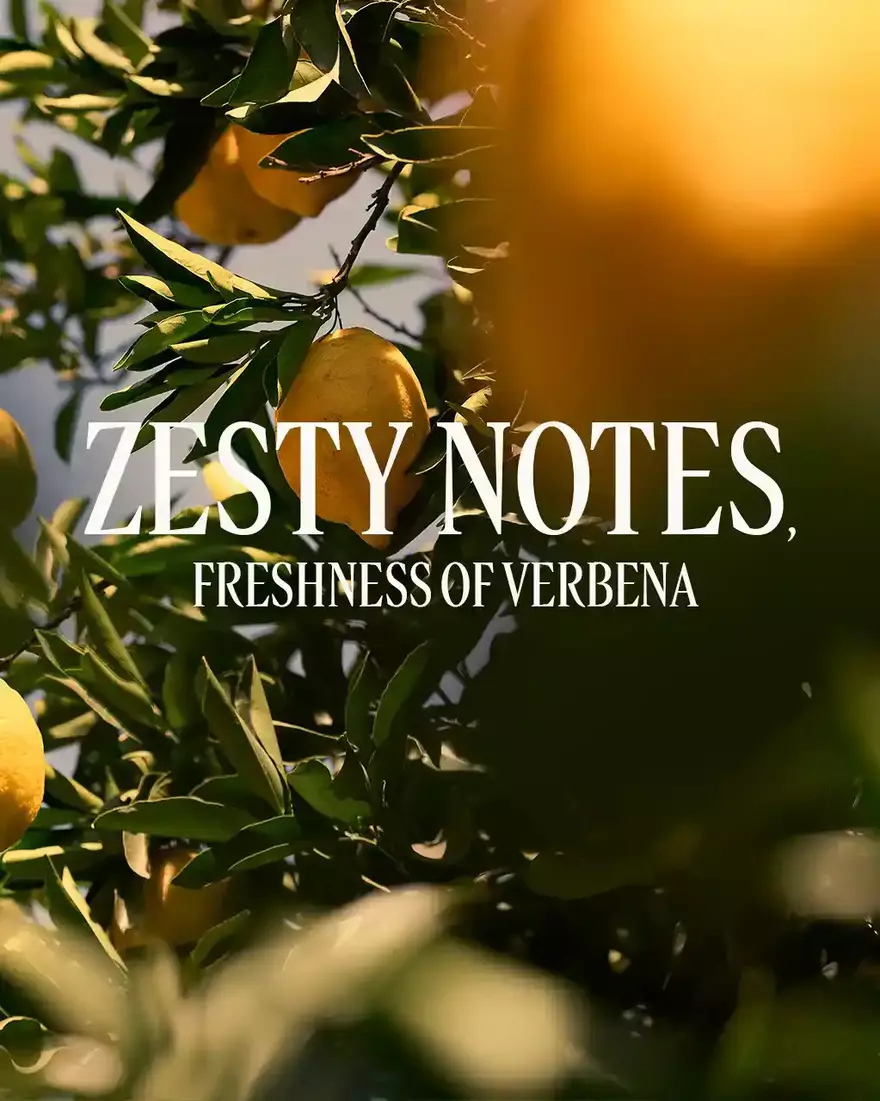 view 4/8 of Citrus Verbena Eau de Toilette, , AURECT