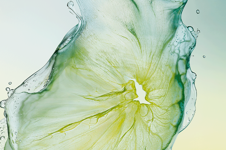 C&eacute;drat Eau de Toilette : Bold Freshness
